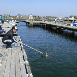松名瀬フィッシングパーク 釣果
