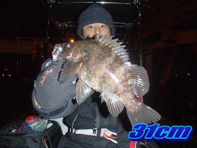 オーシャンマスター 釣果