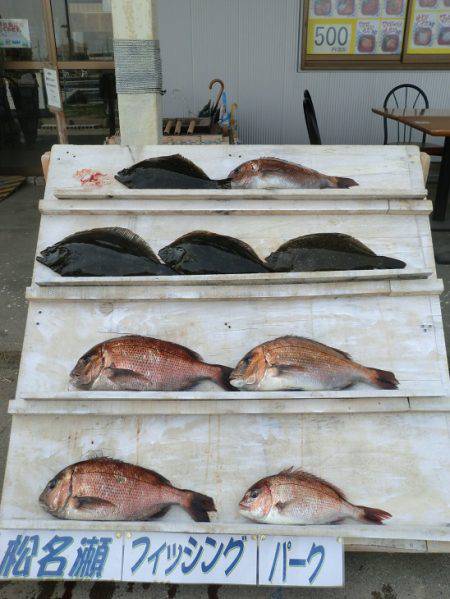 松名瀬フィッシングパーク 釣果