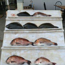 松名瀬フィッシングパーク 釣果