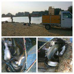 みどりフィッシングエリア 釣果