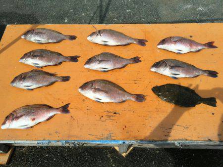 松名瀬フィッシングパーク 釣果