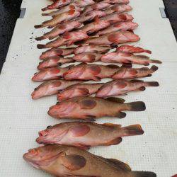 オーフリー 釣果