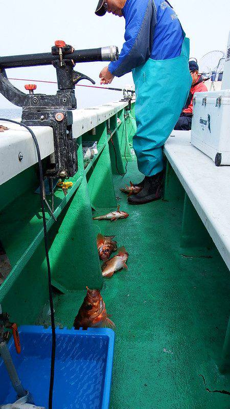 第三むつりょう丸 釣果