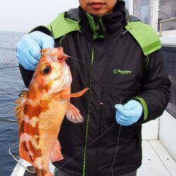 第三むつりょう丸 釣果