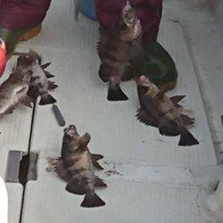 松本釣船２ 釣果