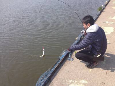吉羽園 釣果