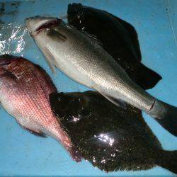 松名瀬フィッシングパーク 釣果