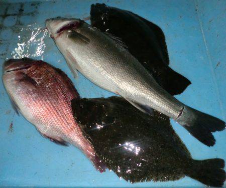 松名瀬フィッシングパーク 釣果