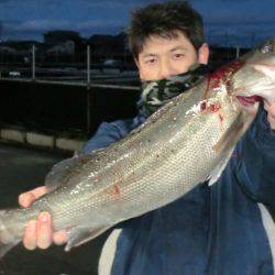 松名瀬フィッシングパーク 釣果