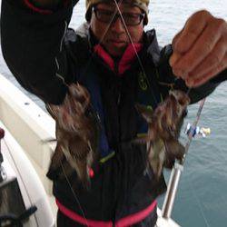松本釣船2 釣果