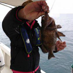 松本釣船2 釣果