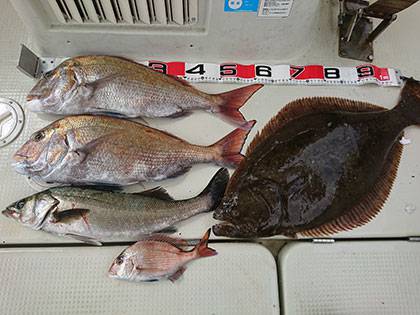 松本釣船2 釣果