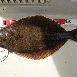 松本釣船2 釣果