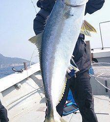 海龍丸（福岡） 釣果