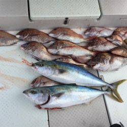 マタウマリンサービス 釣果