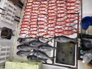 さぶろう丸 釣果