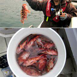 来温丸(らいおんまる) 釣果