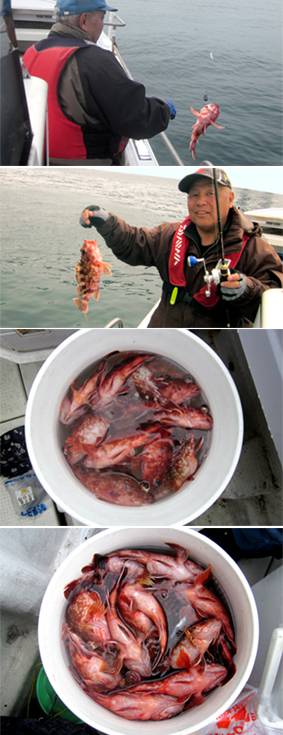 来温丸（らいおんまる） 釣果