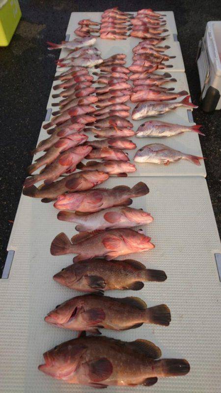 オーフリー 釣果