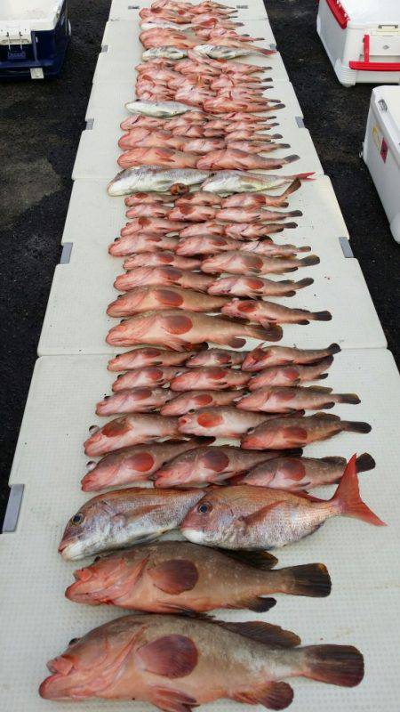 オーフリー 釣果