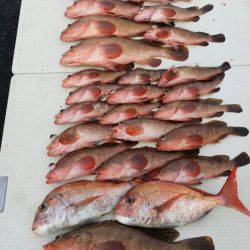 オーフリー 釣果