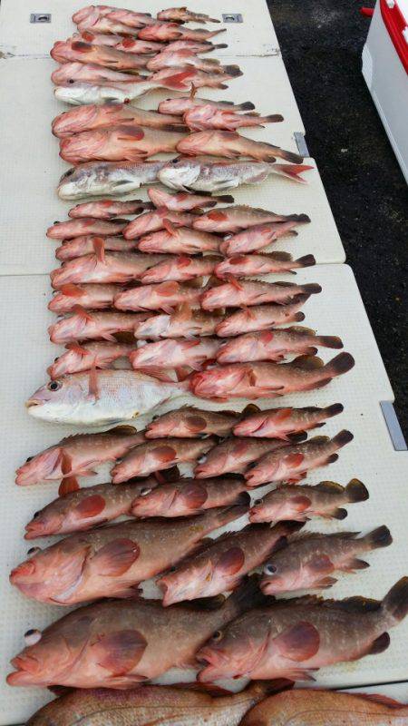 オーフリー 釣果