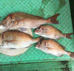 利弥丸（としやまる） 釣果