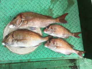 利弥丸（としやまる） 釣果