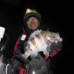 ルアー船マヒマヒ 釣果
