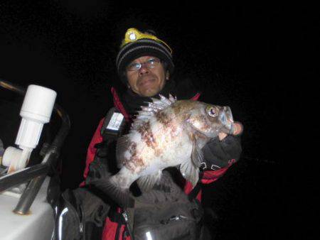 ルアー船マヒマヒ 釣果