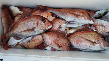 第三むつりょう丸 釣果