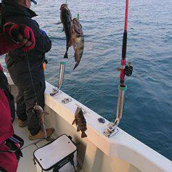 松本釣船２ 釣果