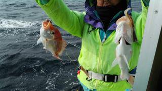 長栄丸(静岡) 釣果
