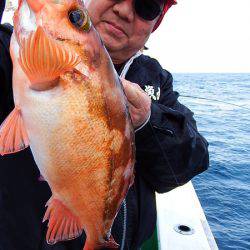 第三むつりょう丸 釣果