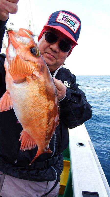 第三むつりょう丸 釣果