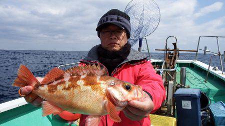 第三むつりょう丸 釣果