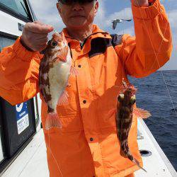 第三むつりょう丸 釣果