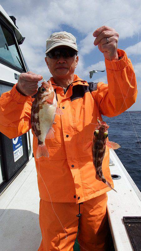 第三むつりょう丸 釣果