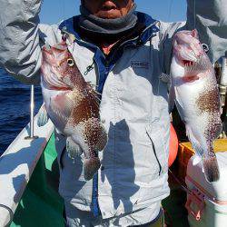 第三むつりょう丸 釣果