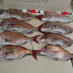 松本釣船２ 釣果