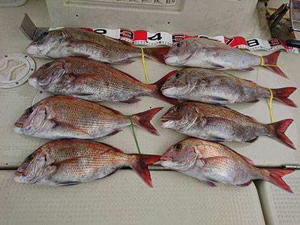 松本釣船２ 釣果