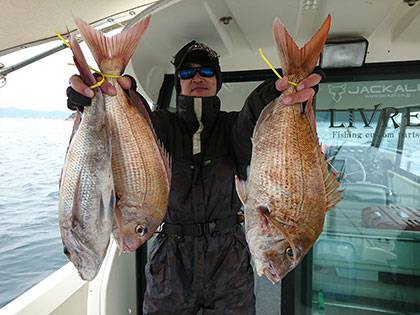 松本釣船２ 釣果