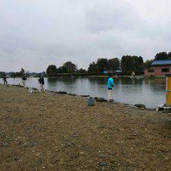 みどりフィッシングエリア 釣果