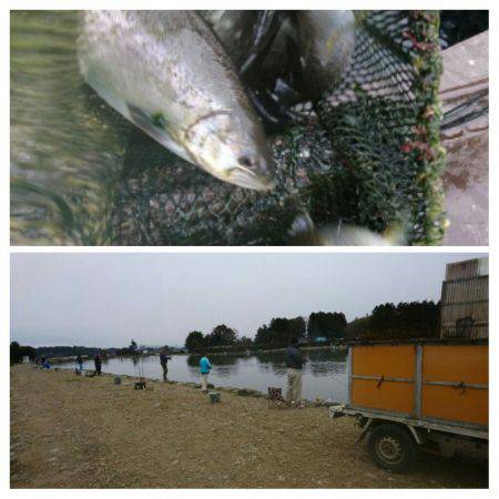 みどりフィッシングエリア 釣果