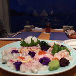 マタウマリンサービス 釣果