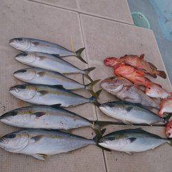 旭星釣りセンター 釣果