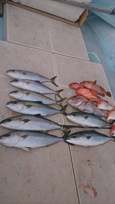 旭星釣りセンター 釣果