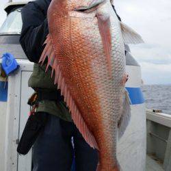 飛燕さくら丸 釣果