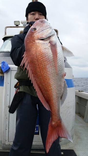 飛燕さくら丸 釣果